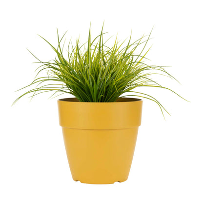 12" Selv Planter with self-watering system