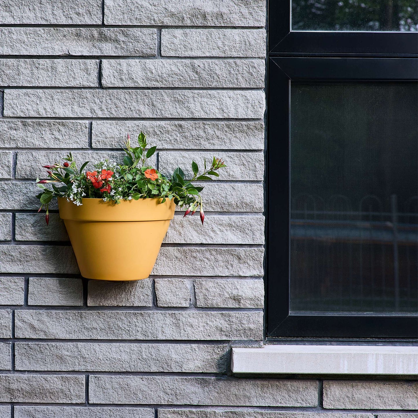 Jardinière murale Selv 14 po avec système auto-arrosant