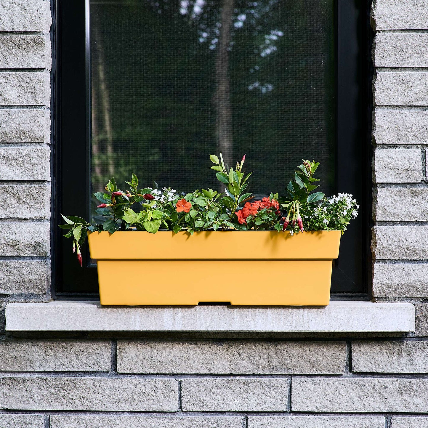 Jardinière rectangulaire Selv 24 po avec système auto-arrosant