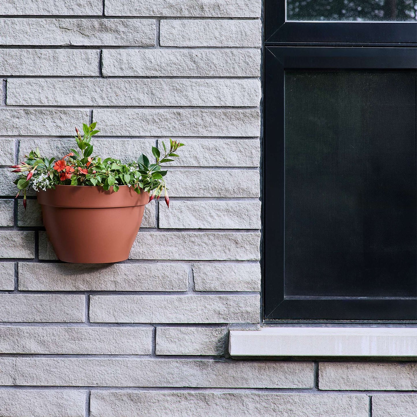 Jardinière murale Selv 14 po avec système auto-arrosant