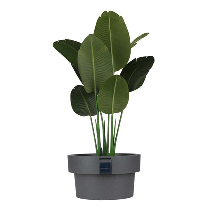 Pot solaire 18 po avec éclairage d’ambiance