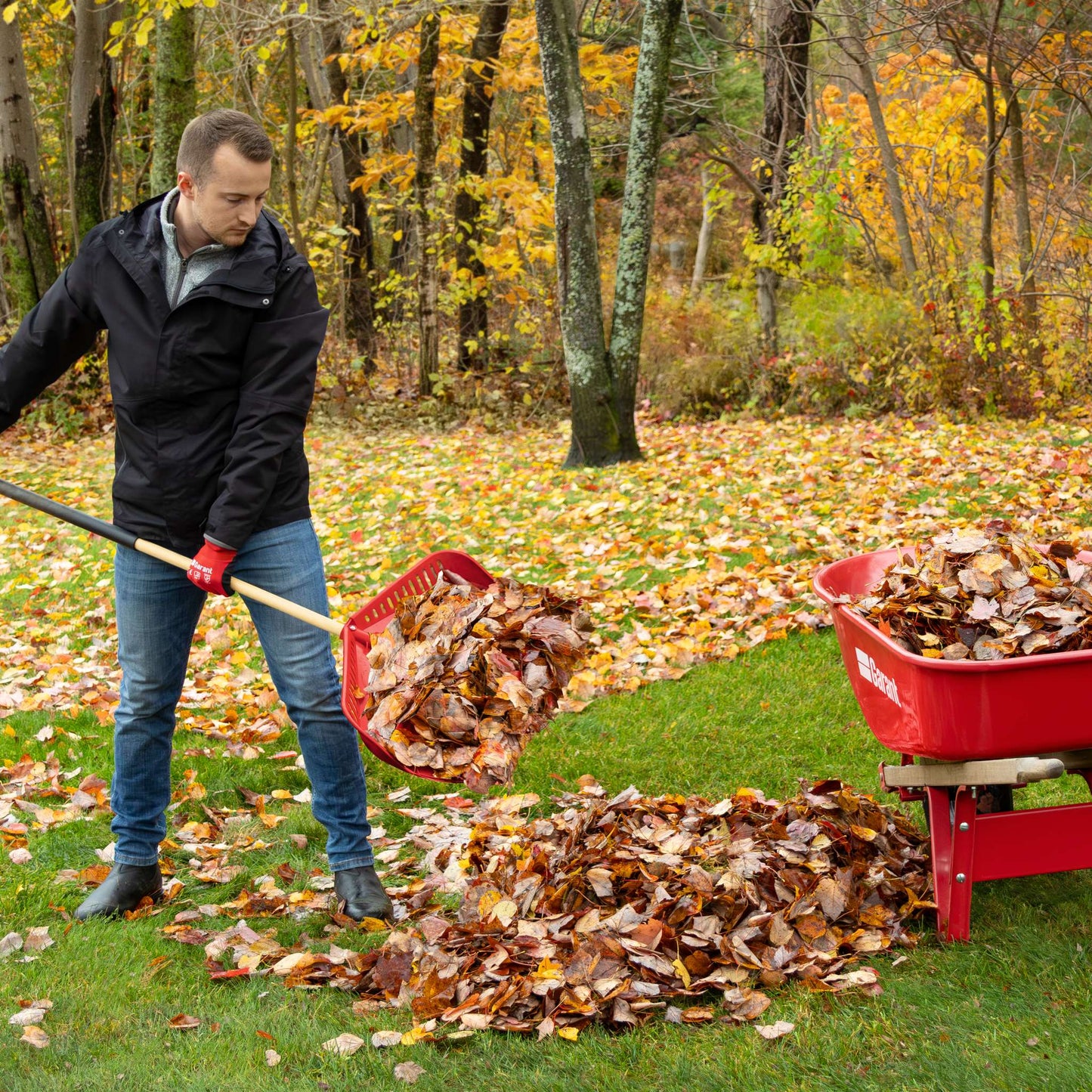 2-in-1 Scooping Leaf Rake