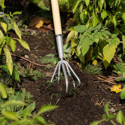 Cultivateur 5 dents