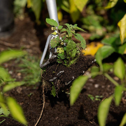 Cultivateur 5 dents