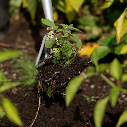Cultivateur 5 dents