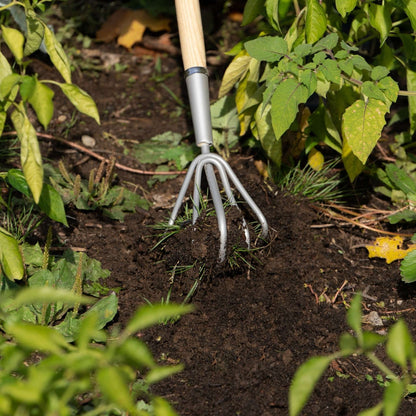 Cultivateur 5 dents