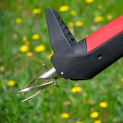 Weeder