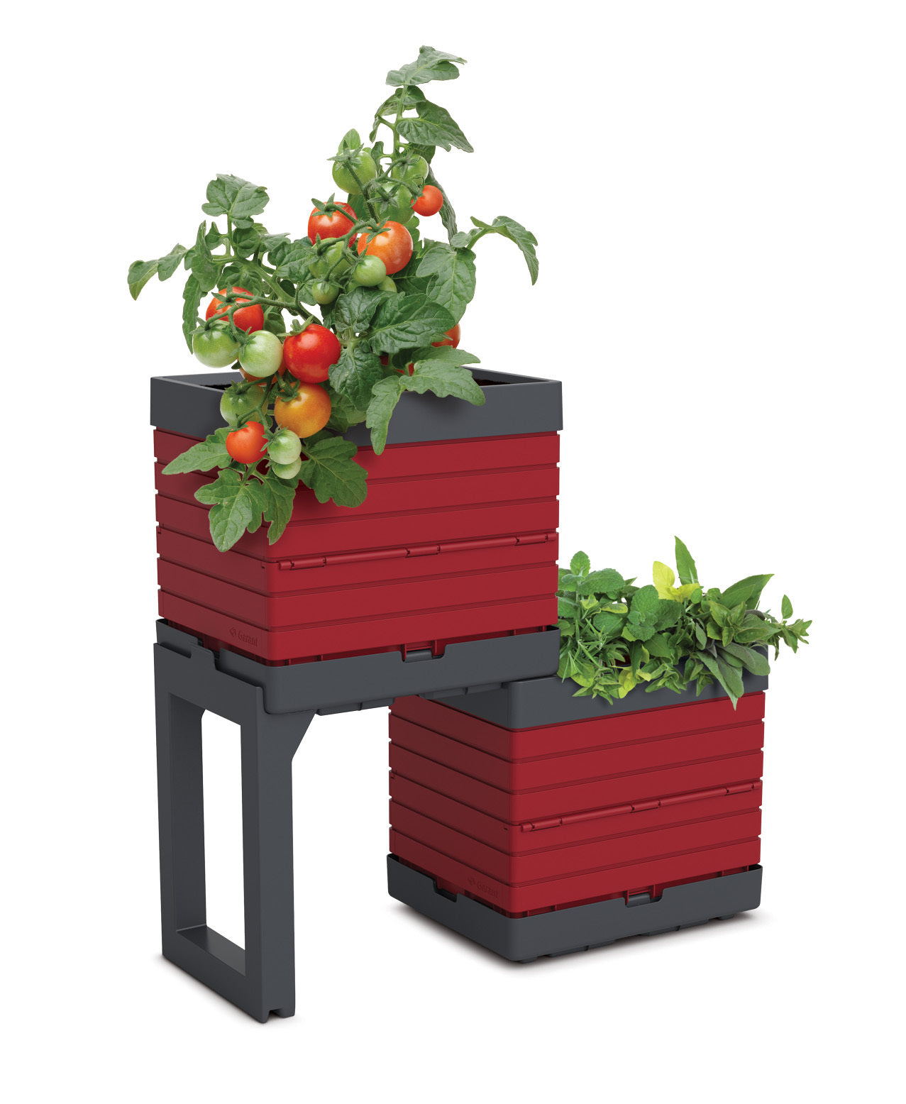 Individual planter for modular garden