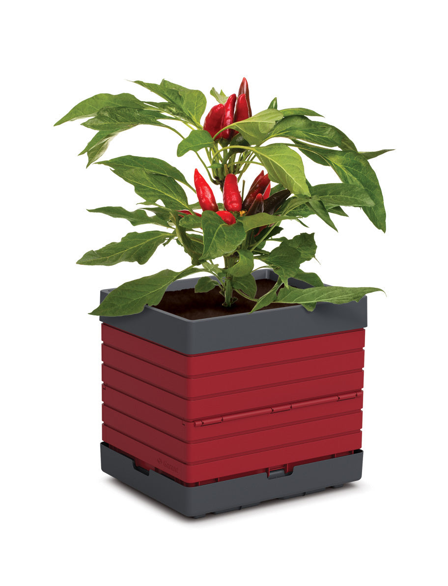 Individual planter for modular garden
